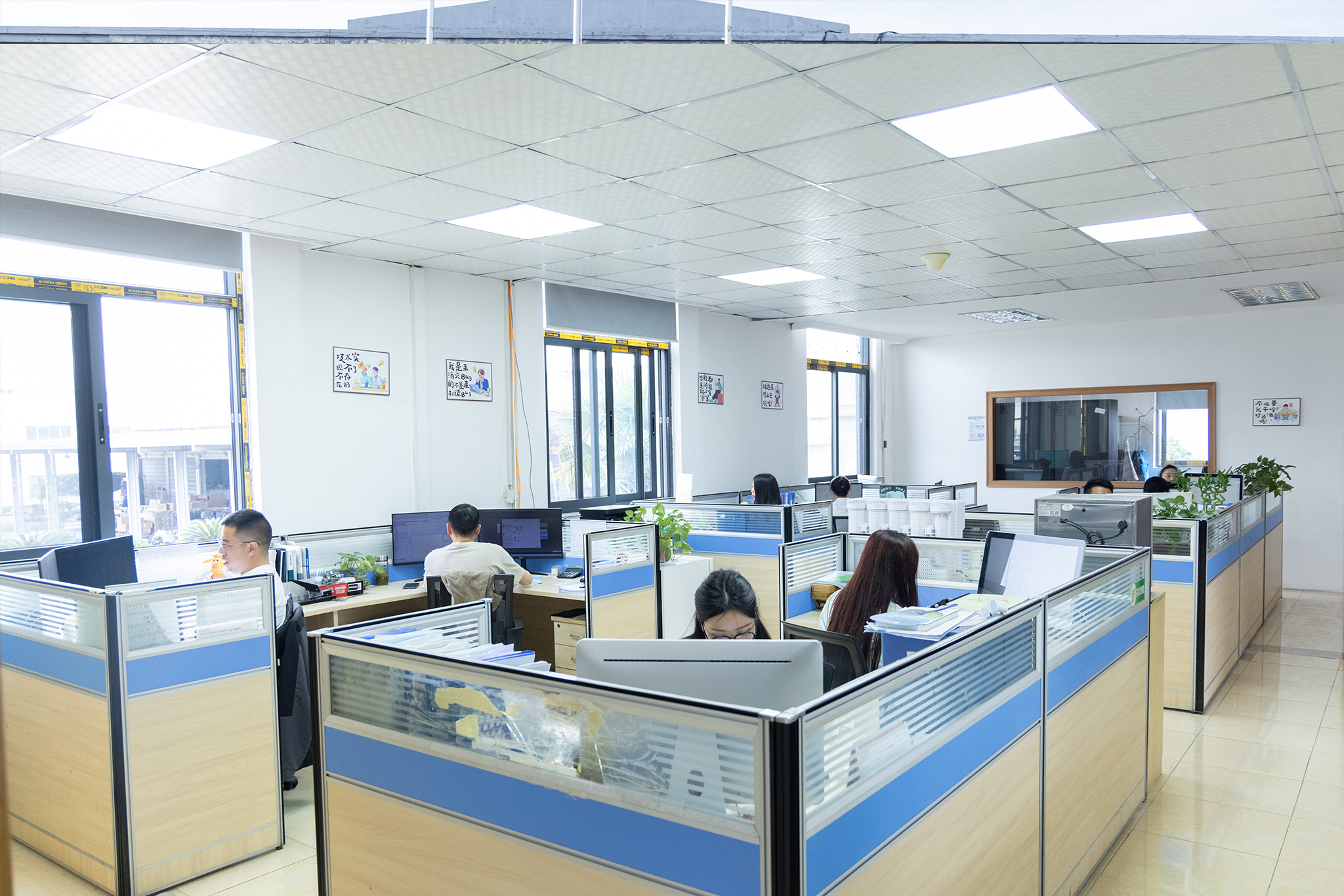 Professional Team_Office Environment